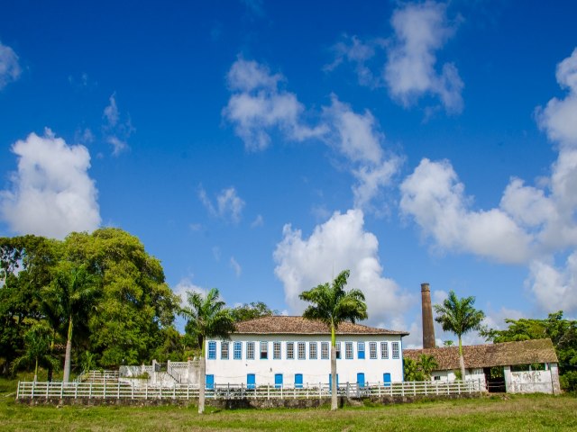 Reserve sua visita a Rota de Engenho