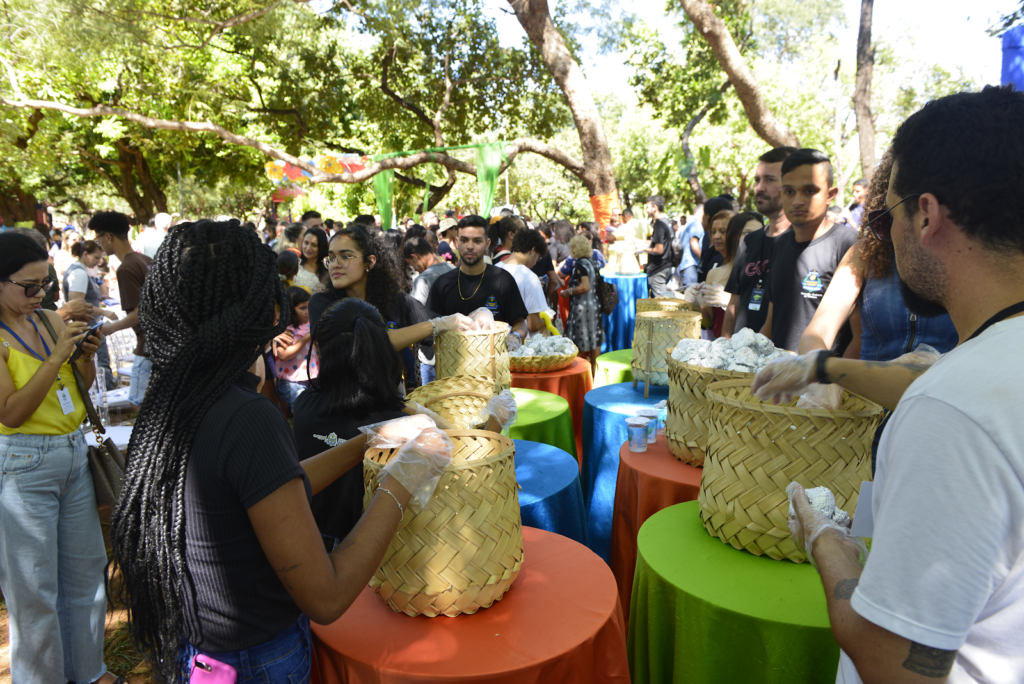 Piquenique de aniversário de Palmas é marcado por anúncios e apresentações