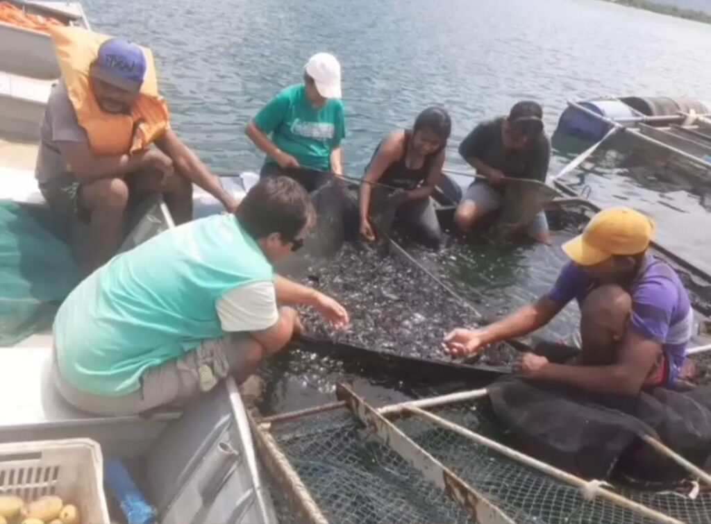 Cursos gratuitos promovem qualificação profissional para fomentar o turismo no Tocantins